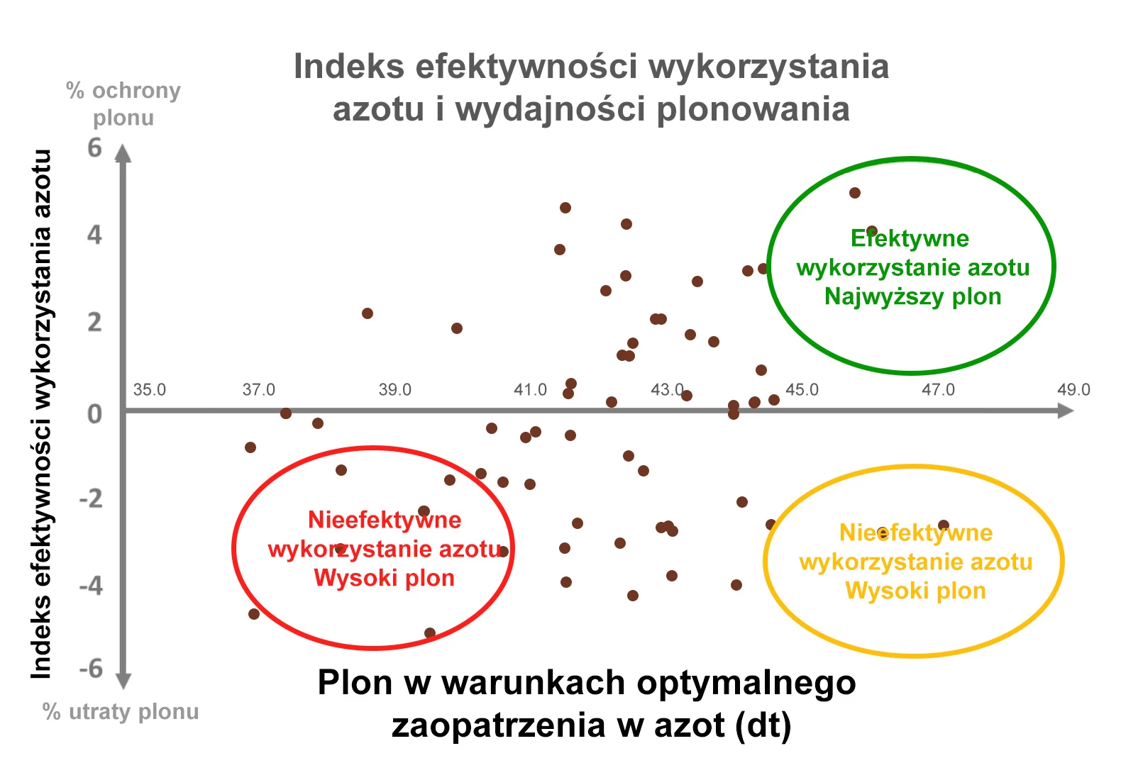 efektywne wykorzystanie azotu